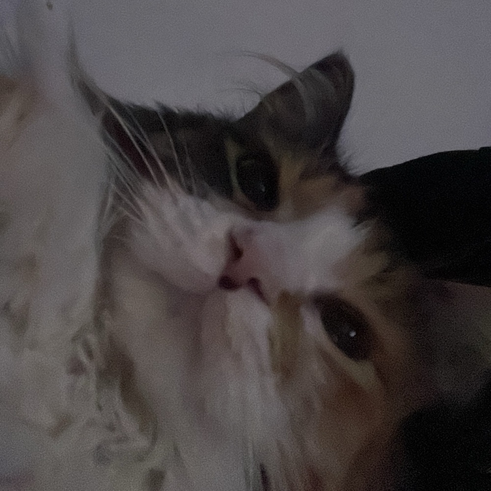 Meet your Posher, Jamie